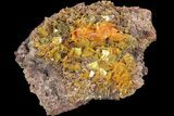 Orange Wulfenite Crystal Cluster - Rowley Mine, Arizona #118959-2